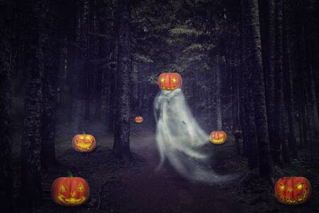 Helloween ghost with pumpkins in the night forestの写真素材