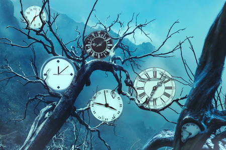 Many clocks on old treesの写真素材