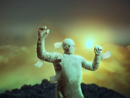 Man in toilet paper over cloudy evening sky