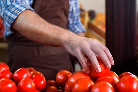 Seller in apron sorts ripe tomatoes. Vegetables on the background. Ecological food.の写真素材