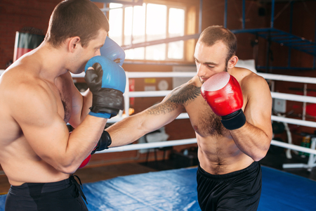 Boxer sents his opponent to the knockout. Fighting ring on the background. Box sport.の写真素材