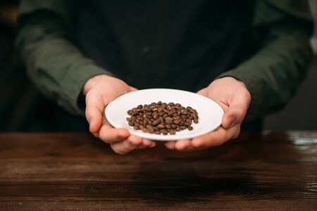 Male hands holds white plate with grain of coffee. Fresh coffee aroma.の写真素材