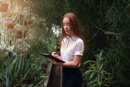 Plants and flowers business conceptの写真素材