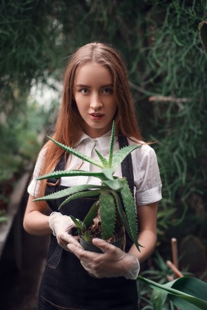 Gardener holding succulent plant in hands.の写真素材