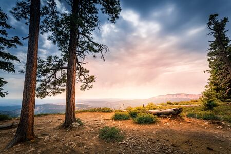 Pine trees on rocky mountain against Bryce Canyonの写真素材
