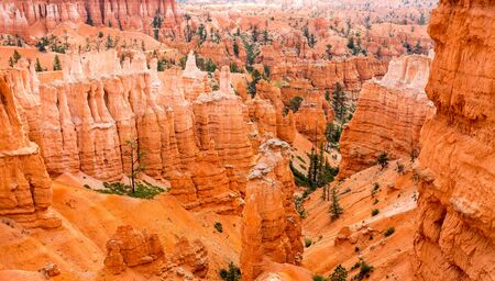 Bryce Canyon landscape from the top of mountainの写真素材