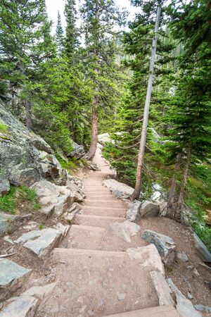Stone stairway in mountain forest.