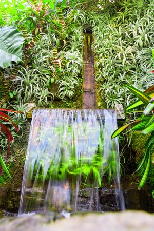 Waterfall with different plants on the background.の写真素材
