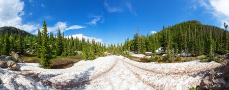 Scenic landscape of mountains with evergreen woodsの写真素材