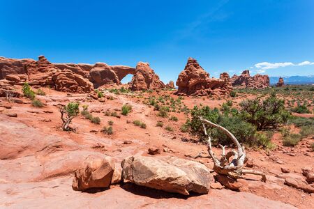 Landscape with red rocks and skyline background