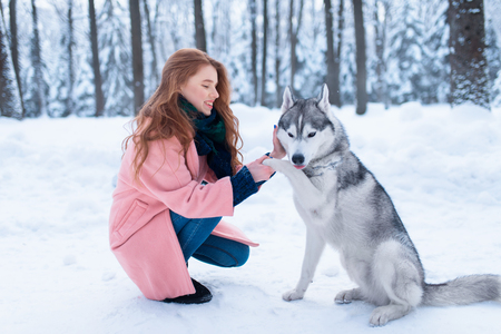 Female master on dog training with siberian huskyの写真素材