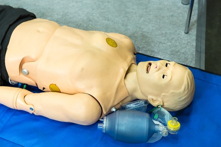 Medical mannequin, professional medicine equipmentの写真素材