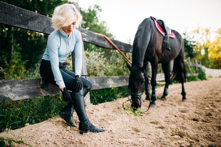 Woman and brown stallion, horseback ridingの写真素材