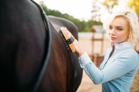 Woman take caring for the hair of brown horseの写真素材
