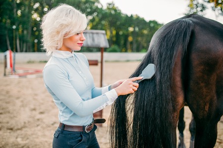 Young woman combing the tail of the horseの写真素材