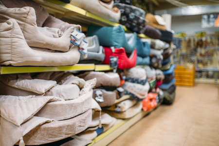 Inside pet shop, shelves with accessories, nobodyの写真素材