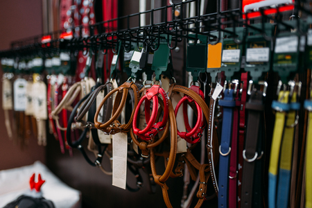 Petshop, leashes for dogs and cats closeup, nobodyの写真素材