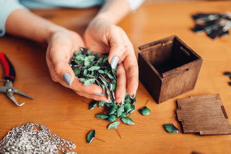 Female person hands holds needlework accessoriesの写真素材