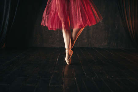 Female ballet dancer legs in pointesの写真素材