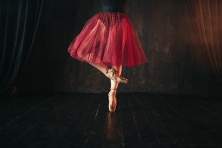 Female ballet dancer legs in pointesの写真素材
