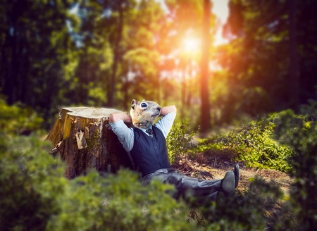 Businessman with rodent head sitting in the forestの写真素材