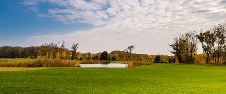 Autumn park, trees with colorful foliage, panoramaの写真素材