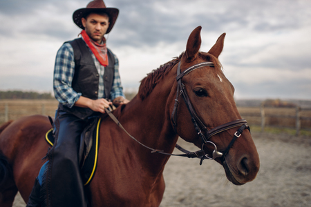 Cowboy riding a horse in desert valley, westernの写真素材