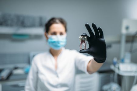 Dentist shows tooth pin and model, dental clinicの写真素材