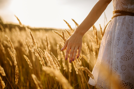 Female person walking in a rye field on sunsetの写真素材