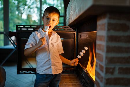 Little boy frying sausages on stick at fireplaceの写真素材