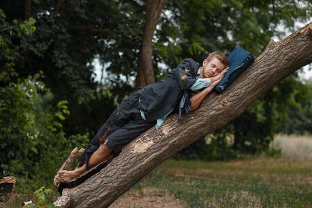 Businessman sleeping on the tree, desert islandの写真素材
