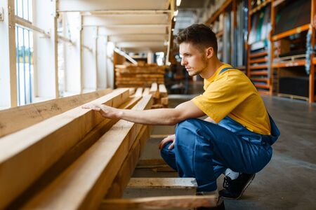 Builder choosing repair materials, hardware storeの写真素材