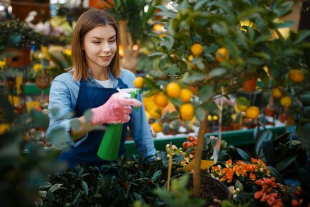 Female gardener, home flowers sellingの写真素材
