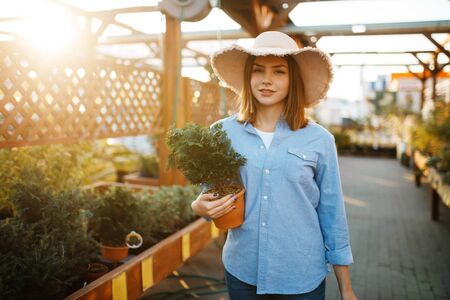 Female customer buying flower in a pot, floristryの写真素材