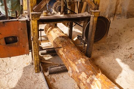 Woodworking machine, nobody, lumber industry, carpentry. Wood processing on factory, forest sawing...