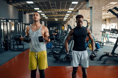 Two muscular men doing exercise with dumbbell