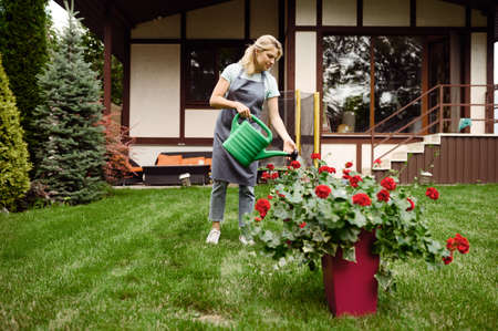 Woman in apron watering flowers in the garden