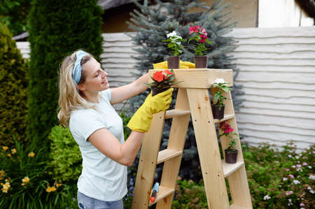 Woman growing flowers in pots in the gardenの写真素材