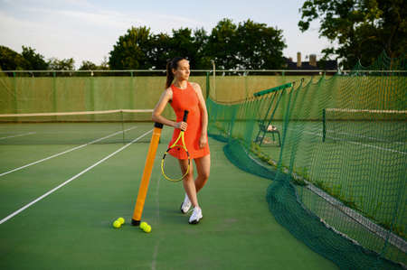 Female tennis player in sportswear poses at netの写真素材