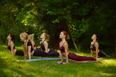 Slim women doing stretching exercise, group yoga