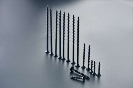 Set of self-tapping wood screws, grey background
