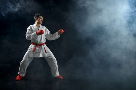 Male karate fighter in white kimono and red glovesの写真素材