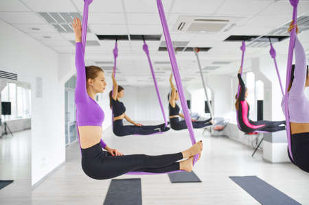 Anti-gravity yoga, group training with hammocksの写真素材