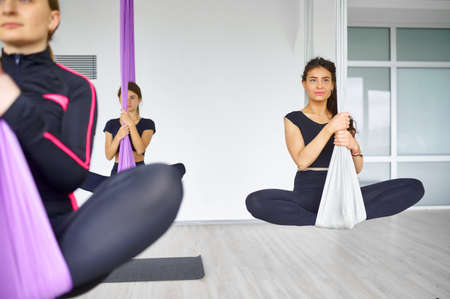 Aerial yoga, female group hanging on hammocksの写真素材