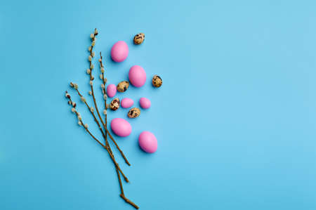 Colorful easter eggs and willow on blue background