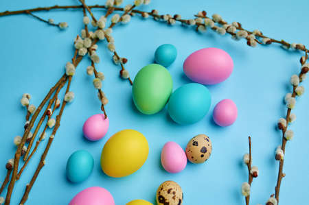 Colorful easter eggs and willow on blue background