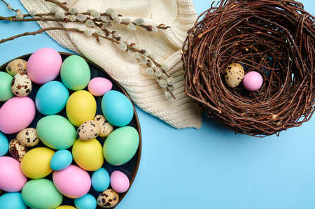 Colorful easter eggs in bowl and decorative nestの写真素材