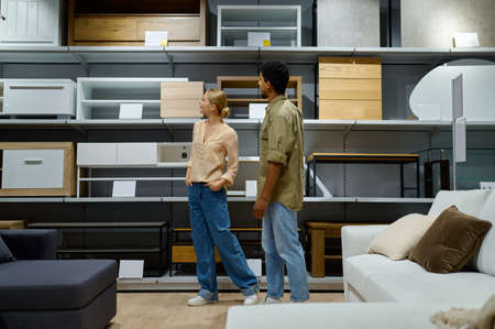 Young multiracial couple considering furniture store assortmentの写真素材