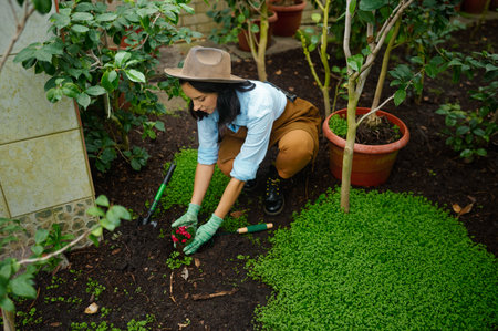 Overhead view on botanist transplanting flower from pot in groundの写真素材