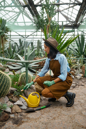 Young woman gardener caring cactus pant working at greenhouseの写真素材